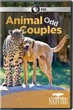 Watch Animal Odd Couples M4ufreemovies