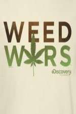 Watch Weed Wars M4ufreemovies