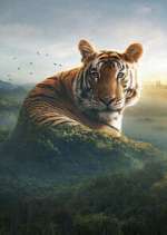 Watch Asia M4ufreemovies