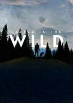 Watch Called to the Wild M4ufreemovies