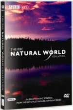 Watch The Natural World M4ufreemovies