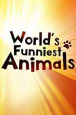 Watch The World\'s Funniest Animals M4ufreemovies