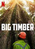 Watch Big Timber M4ufreemovies