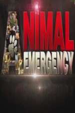Watch Animal Emergency M4ufreemovies