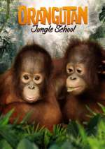 Watch Orangutan Jungle School M4ufreemovies