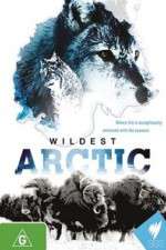 Watch Wildest Arctic M4ufreemovies