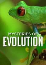Watch Mysteries of Evolution M4ufreemovies