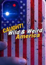 Watch Wild & Weird America M4ufreemovies