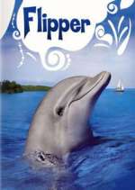 Watch Flipper M4ufreemovies