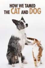 Watch How We Tamed the Cat and Dog M4ufreemovies