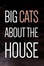 Watch Big Cats About the House M4ufreemovies