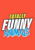 Watch Totally Funny Animals M4ufreemovies