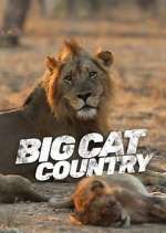 Watch Big Cat Country M4ufreemovies