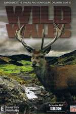 Watch Wild Wales M4ufreemovies