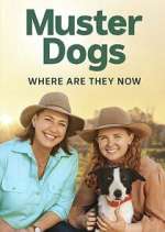 Watch Muster Dogs: Where Are They Now? M4ufreemovies