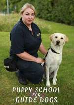 Watch Puppy School for Guide Dogs M4ufreemovies