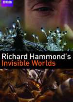 Watch Richard Hammond's Invisible Worlds M4ufreemovies