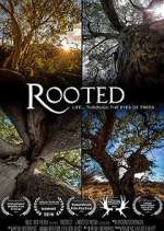 Watch Rooted M4ufreemovies