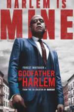 Watch Godfather of Harlem M4ufreemovies