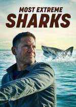 Watch Most Extreme Sharks M4ufreemovies