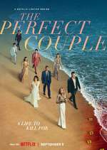 Watch The Perfect Couple M4ufreemovies