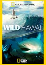 Watch Wild Hawaii M4ufreemovies