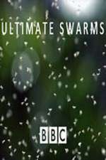 Watch Ultimate Swarms M4ufreemovies