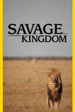 Watch Savage Kingdom M4ufreemovies