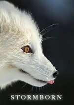 Watch Stormborn M4ufreemovies