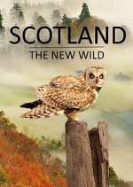 Watch Scotland - The New Wild M4ufreemovies