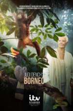 Watch Judi Dench\'s Wild Borneo Adventure M4ufreemovies