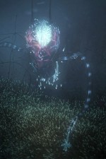 Watch Into the Universe with Stephen Hawking M4ufreemovies