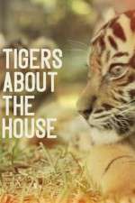 Watch Tigers About the House M4ufreemovies