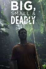 Watch Big, Small & Deadly M4ufreemovies