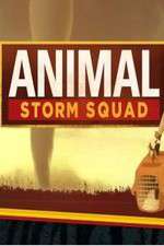 Watch Animal Storm Squad M4ufreemovies