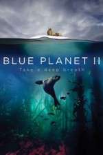 Watch Blue Planet II M4ufreemovies