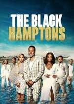 Watch Carl Weber's The Black Hamptons M4ufreemovies