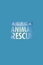 Watch RSPCA Animal Rescue M4ufreemovies