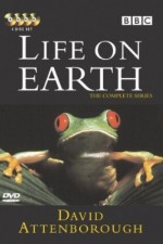 Watch Life on Earth M4ufreemovies