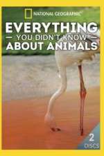 Watch Everything You Didnt Know About Animals M4ufreemovies