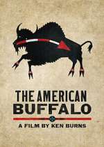 Watch The American Buffalo M4ufreemovies
