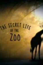 Watch The Secret Life of the Zoo M4ufreemovies